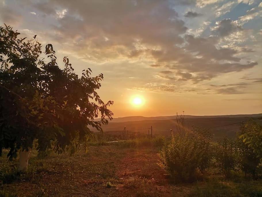 Dimitra'S Sunny Villa Mirsinochori Екстер'єр фото
